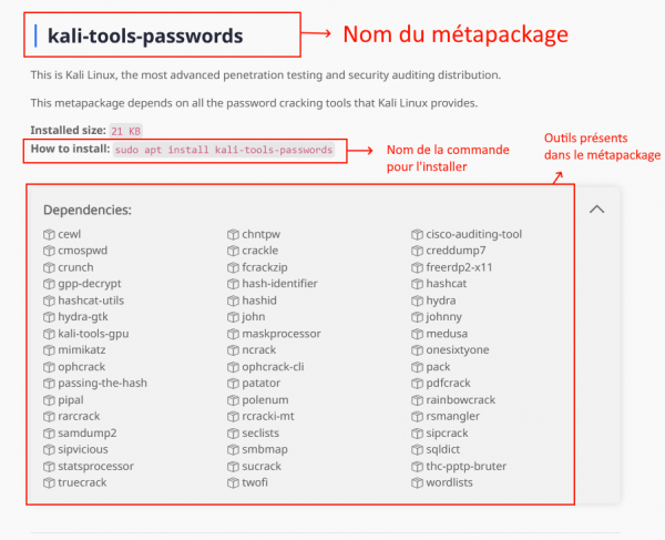 Kali Linux dans votre navigateur – Le Blog du Hacker